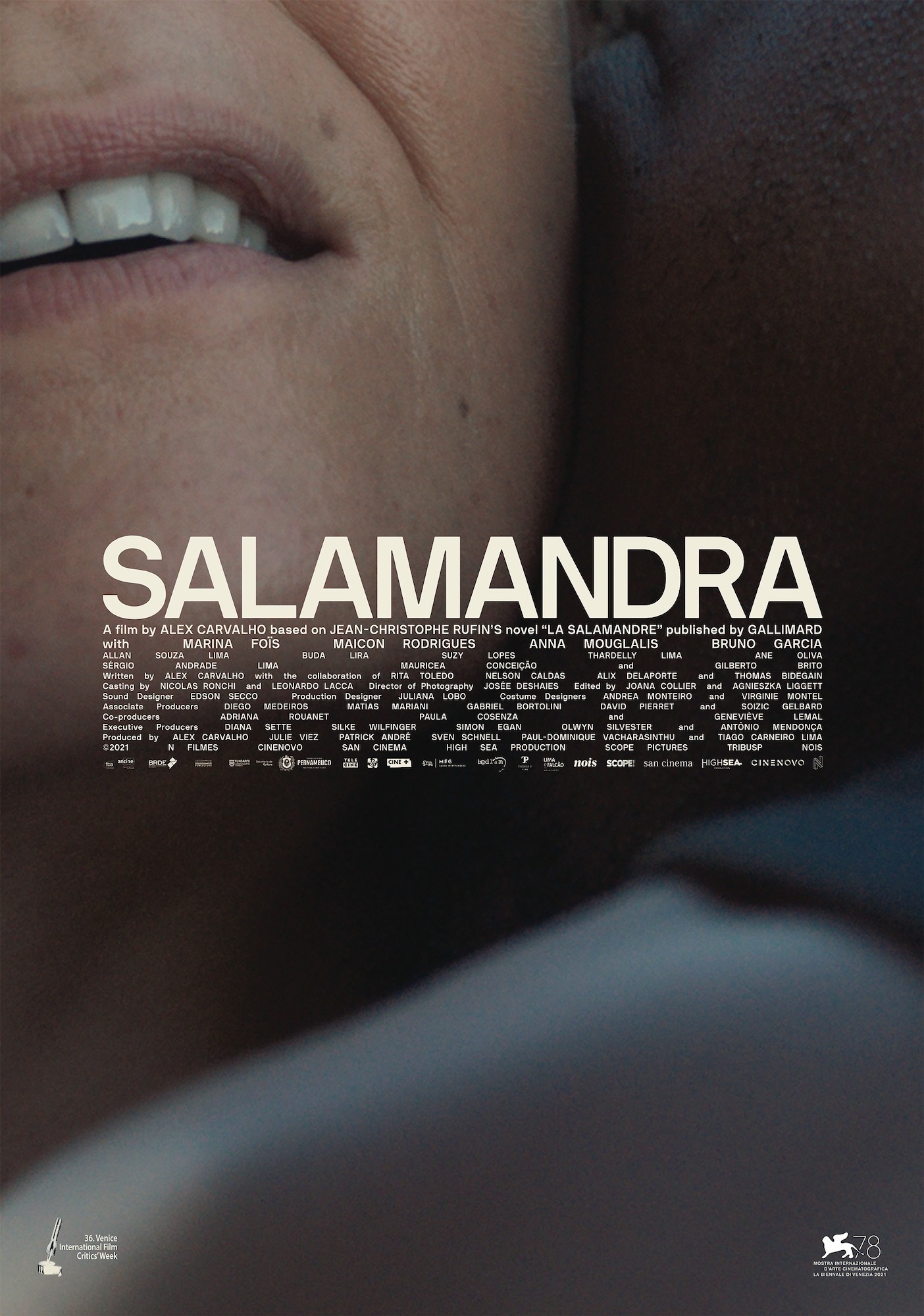 The Salamander